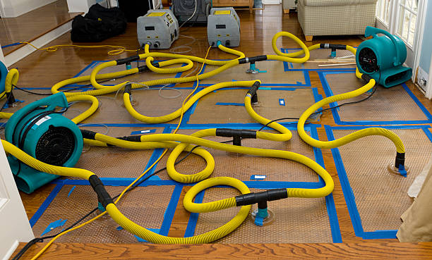 Professional Basement Flood Cleanup technician working in Montvale, NJ
